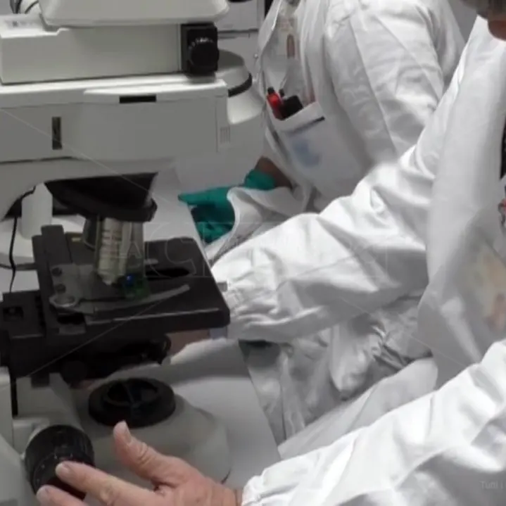 Farmacologia, assegnati i premi a dieci giovani ricercatori italiani: c’è anche un calabrese