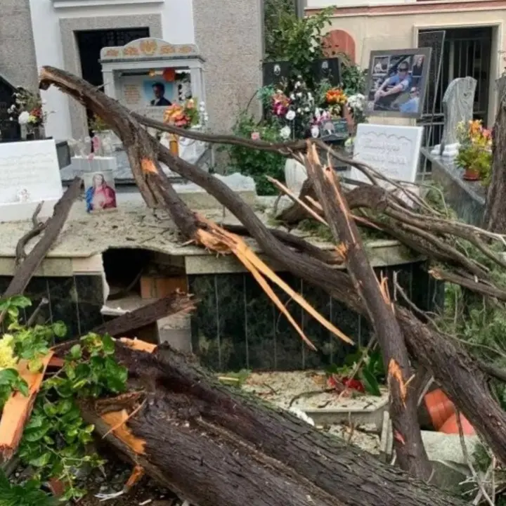 Corigliano Rossano, alberi caduti e allagamenti: danni al cimitero