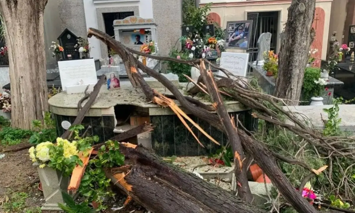 Corigliano Rossano, alberi caduti e allagamenti: danni al cimitero