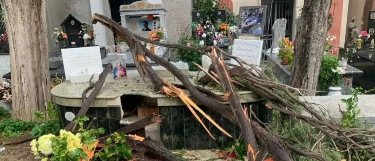 Corigliano Rossano, alberi caduti e allagamenti: danni al cimitero