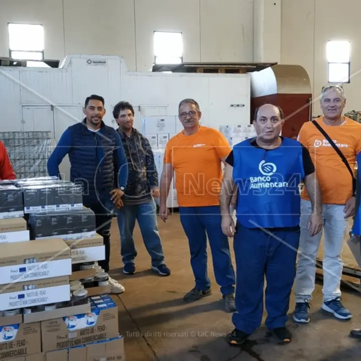 Giornata Nazionale della Colletta Alimentare: raccolte 6.700 tonnellate di beni in 11mila supermercati