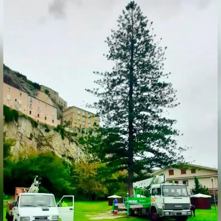 Ad Amantea un albero di Natale da Guinness dei primati: «38 metri, sarà il più alto d’Italia»