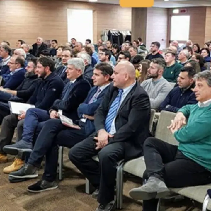 Trentennale dall’istituzione dell’Ordine dei geologi della Calabria, a Lamezia l’assemblea degli iscritti
