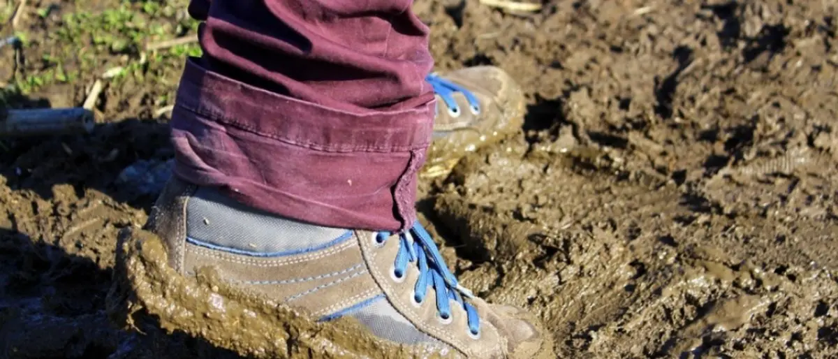 Giornata del suolo, Wwf: «Italia paese fragile, persi 2 metri quadri al secondo»