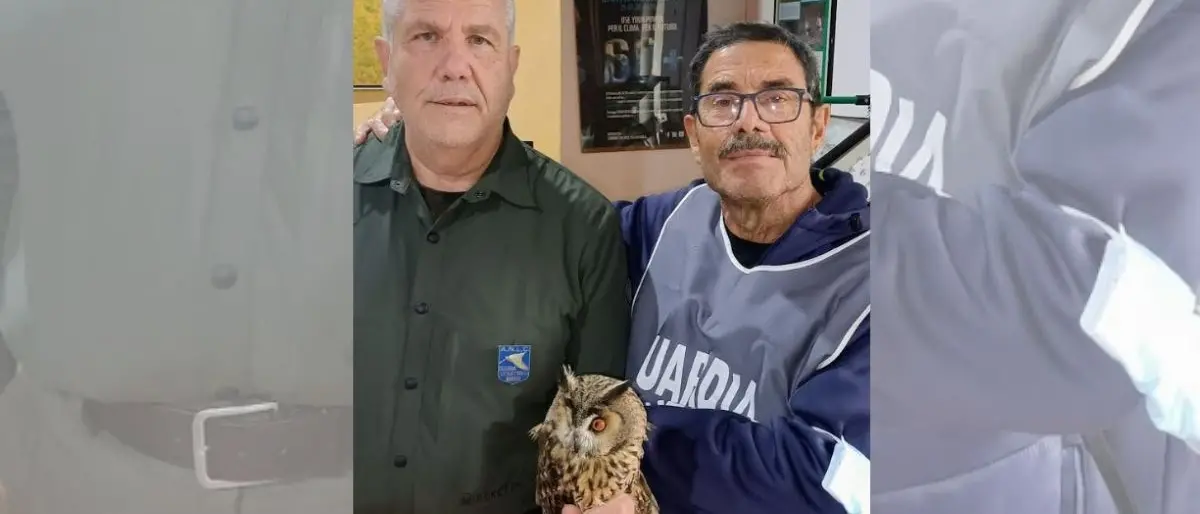 Diamante, gufo ferito viene soccorso dalle guardie venatorie volontarie