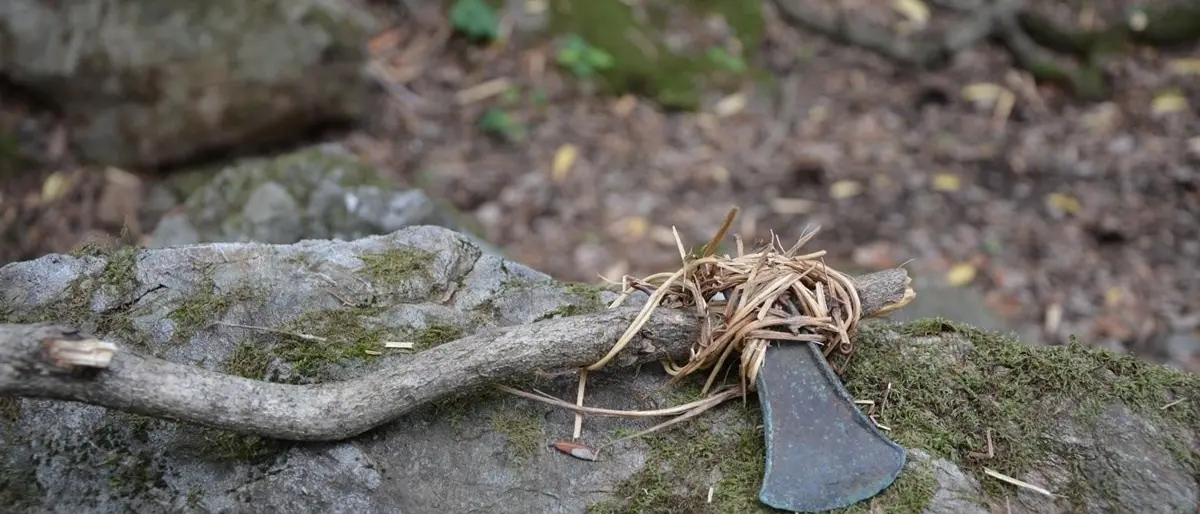 Straordinaria scoperta in Aspromonte: trovata un’ascia preistorica risalente all’età del bronzo