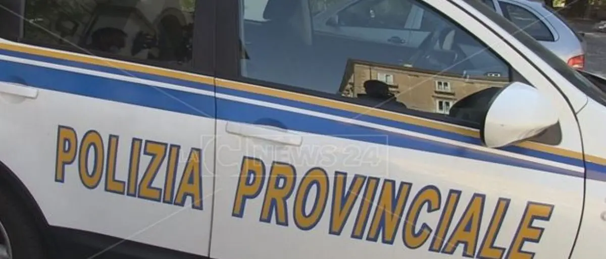 Ambiente, controlli a tappeto nel Cosentino: decine di sanzioni su gestione rifiuti e depurazione