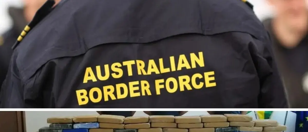 Narcotraffico, 600 chili di coca nascosti in un masso e spariti nel nulla: il racconto del pentito Imperiale