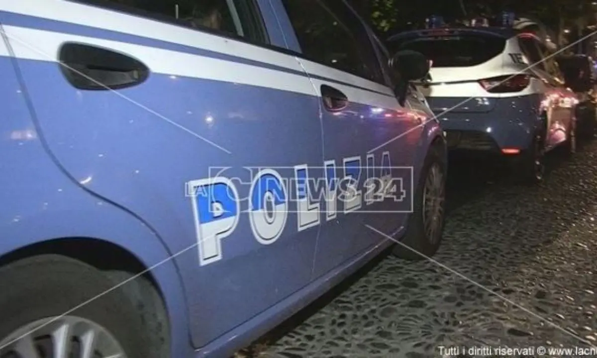 Fiumi di cocaina da Rosarno a Trapani, i calabresi rifornivano le piazze di spaccio in Sicilia: 29 arresti