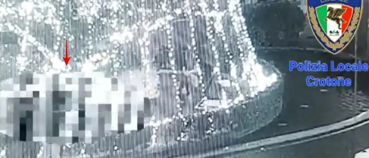 Crotone, vandali ripresi dalle telecamere mentre danneggiano l’albero di Natale