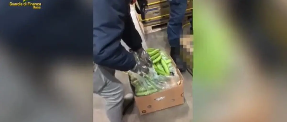 Sequestrati 72 chili di cocaina al porto di Civitavecchia: era nascosta tra i caschi di banane
