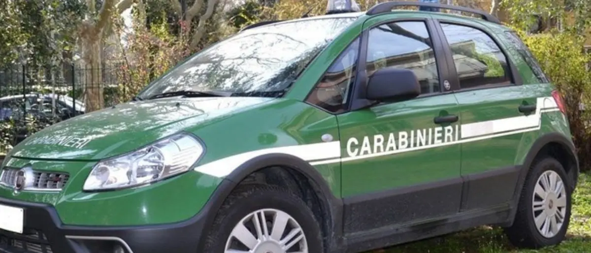 Locri, reflui di un frantoio sversati nella fiumara Gerace: denunciato il titolare dell’impianto oleario