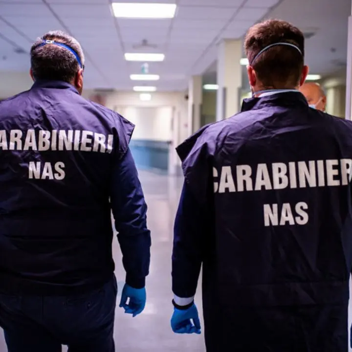 Lamezia Terme, sequestrati oltre 100 panettoni artigianali falsi poi rivenduti al doppio: denunciato il titolare