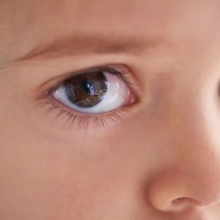 Al via la prima edizione del Premio di qualità per filmati audiovisivi dedicati alla povertà educativa