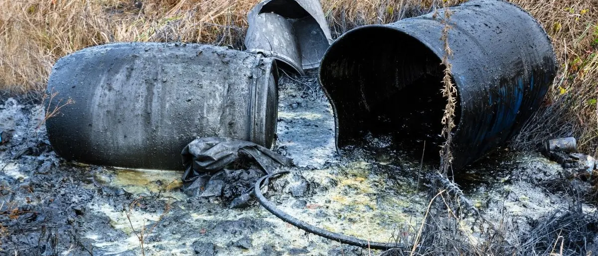 Ecomafie, Calabria maglia nera: in un anno quasi 3mila reati. Cosenza è la seconda provincia in Italia per illeciti