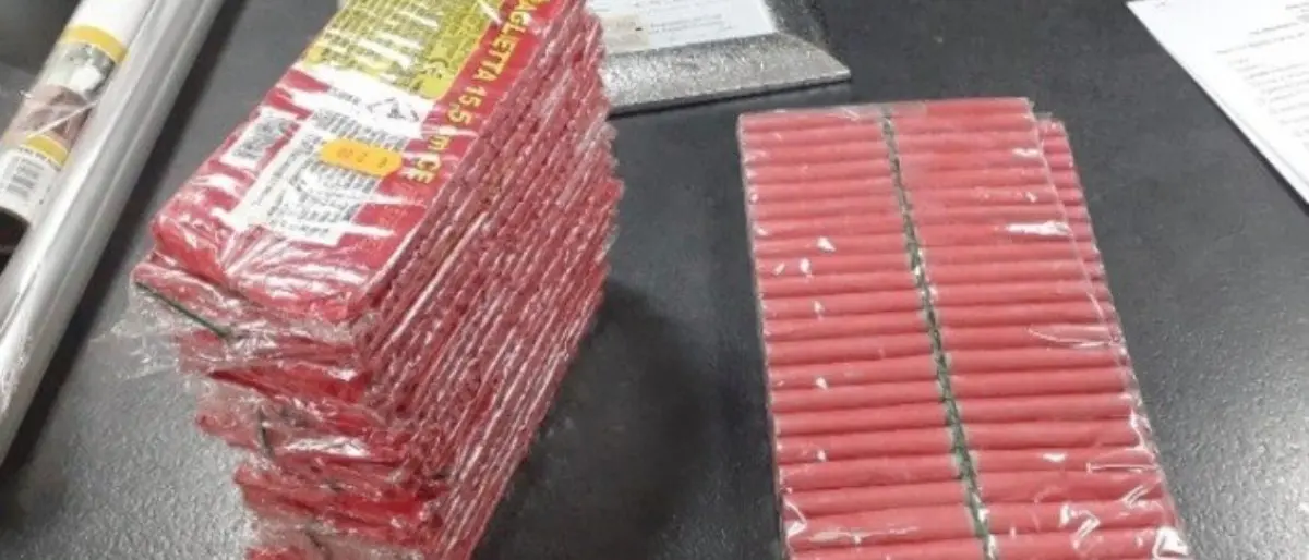 Crotone, sequestrati 70 chili di fuochi d’artificio illegali: denunciata una donna di 47 anni