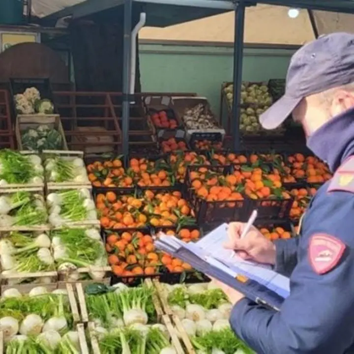Vibo, munizioni nascoste tra i banchi della frutta: denunciato venditore ambulante