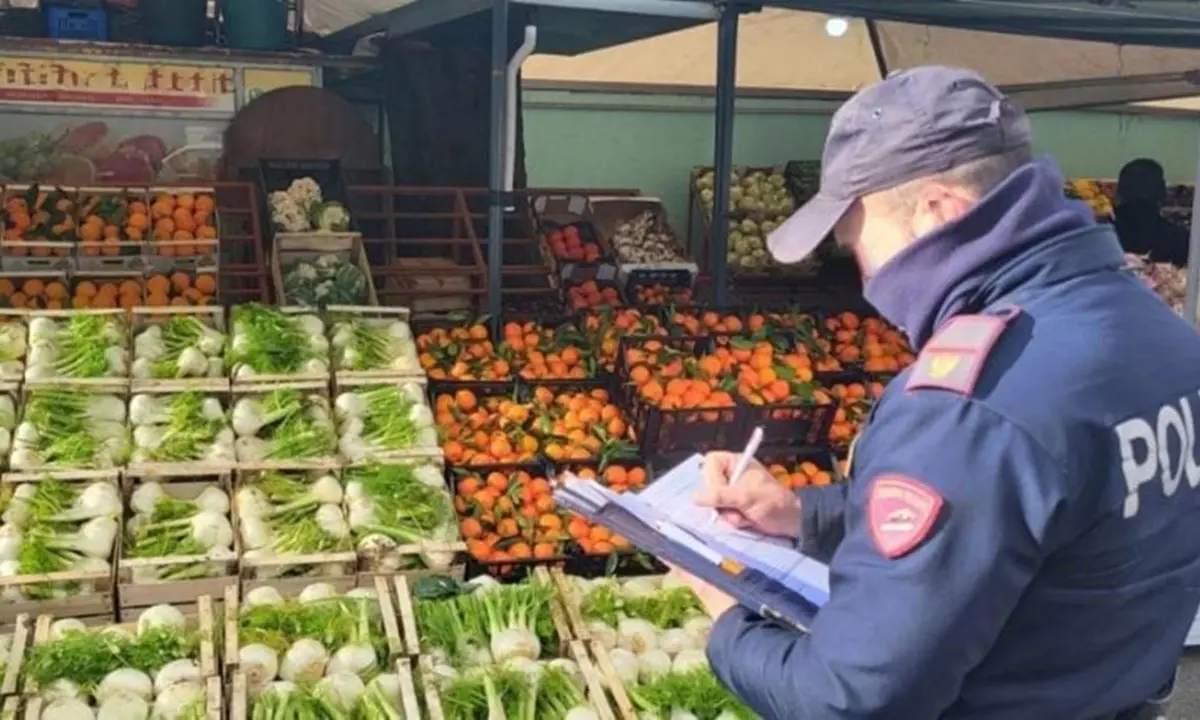 Vibo, munizioni nascoste tra i banchi della frutta: denunciato venditore ambulante