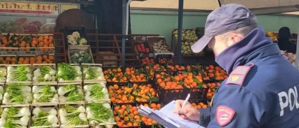 Vibo, munizioni nascoste tra i banchi della frutta: denunciato venditore ambulante