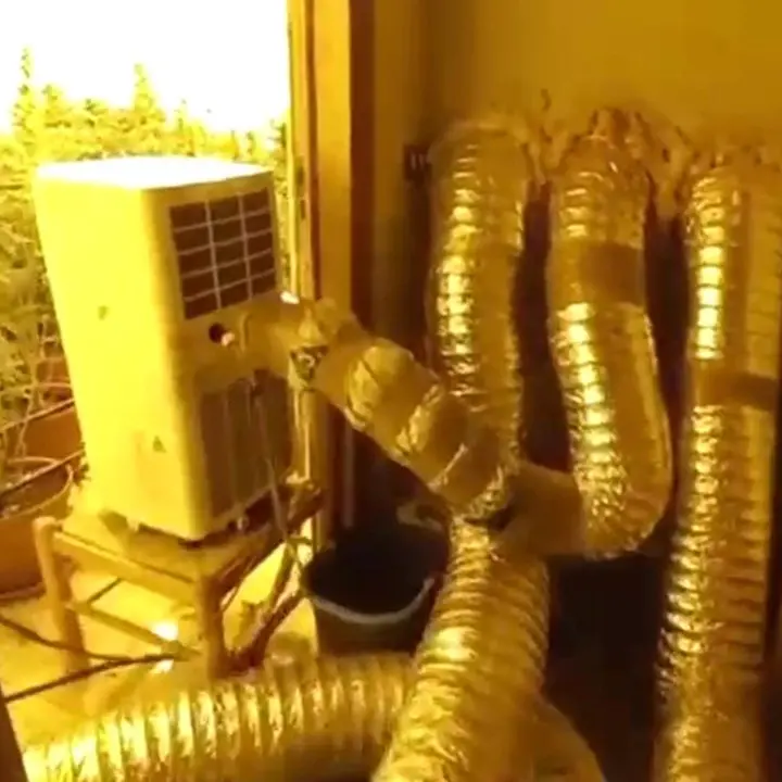 Platì, trovata piantagione di marijuana alimentata con un allaccio abusivo alla rete pubblica: un arresto