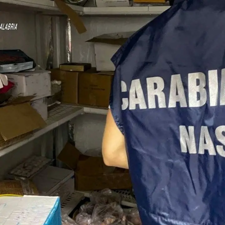 Sequestrati 240 chili di dolci privi di tracciabilità e addobbi natalizi senza marchio Ce: chiuse 3 attività nel Reggino