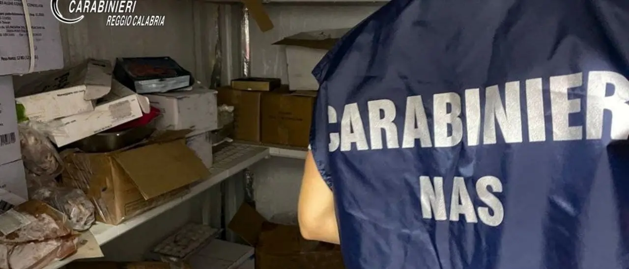 Sequestrati 240 chili di dolci privi di tracciabilità e addobbi natalizi senza marchio Ce: chiuse 3 attività nel Reggino