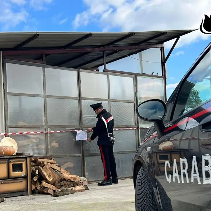 Fungicidi e pesticidi confezionati illegalmente, un arresto nel Catanzarese