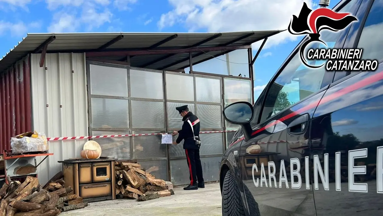 Fungicidi e pesticidi confezionati illegalmente, un arresto nel Catanzarese