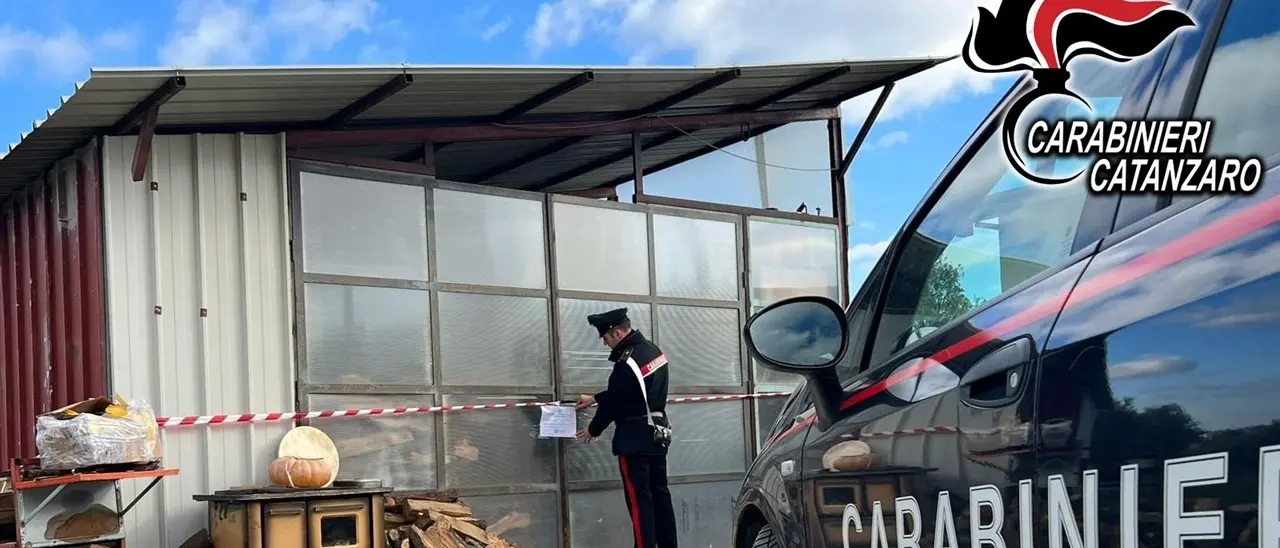 Fungicidi e pesticidi confezionati illegalmente, un arresto nel Catanzarese
