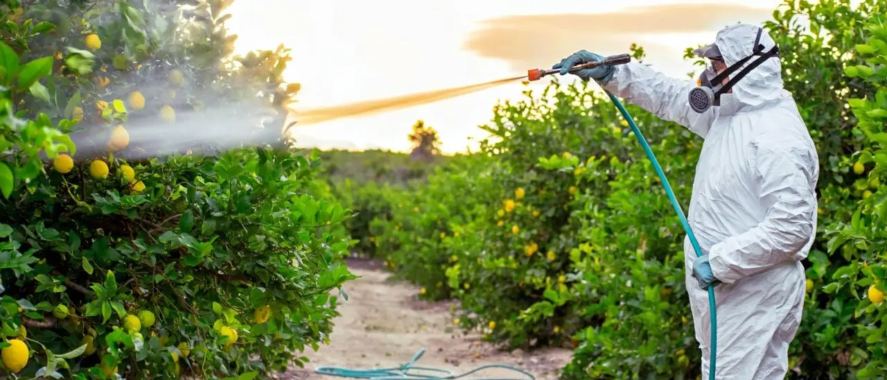 Arrestato nel Catanzarese un 31enne che realizzava antiparassitari comprando su internet le sostanze