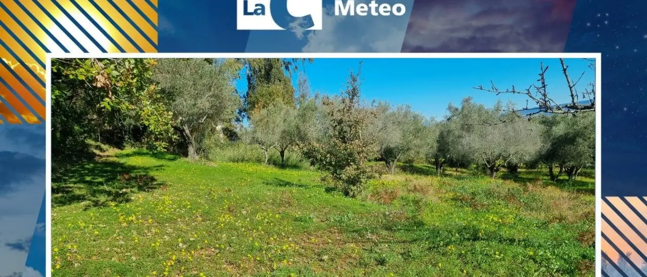 In Calabria è ancora primavera, beltempo e temperature oltre i 20 gradi: le previsioni per il 27 e 28 dicembre