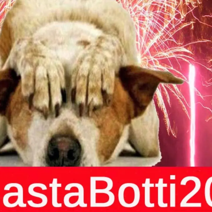 Basta botti, il Partito animalista: «La diossina sprigionata a Capodanno equivale a quella di un inceneritore in 120 anni»