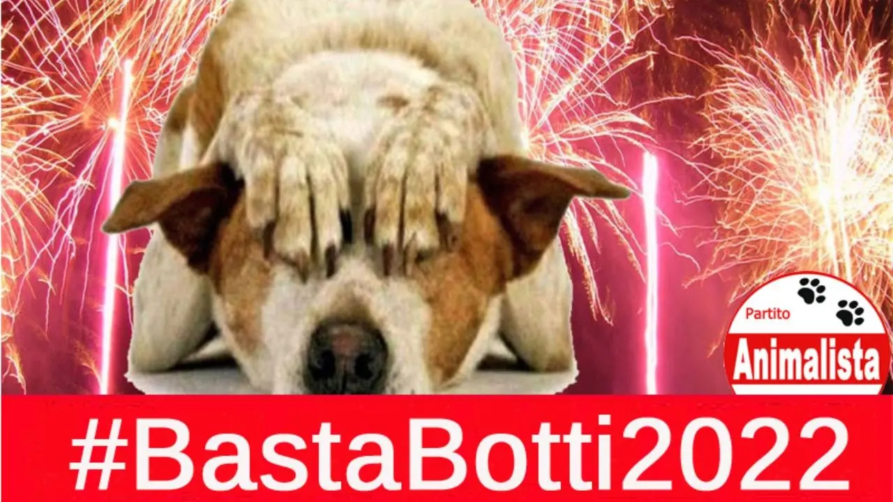 Basta botti, il Partito animalista: «La diossina sprigionata a Capodanno equivale a quella di un inceneritore in 120 anni»