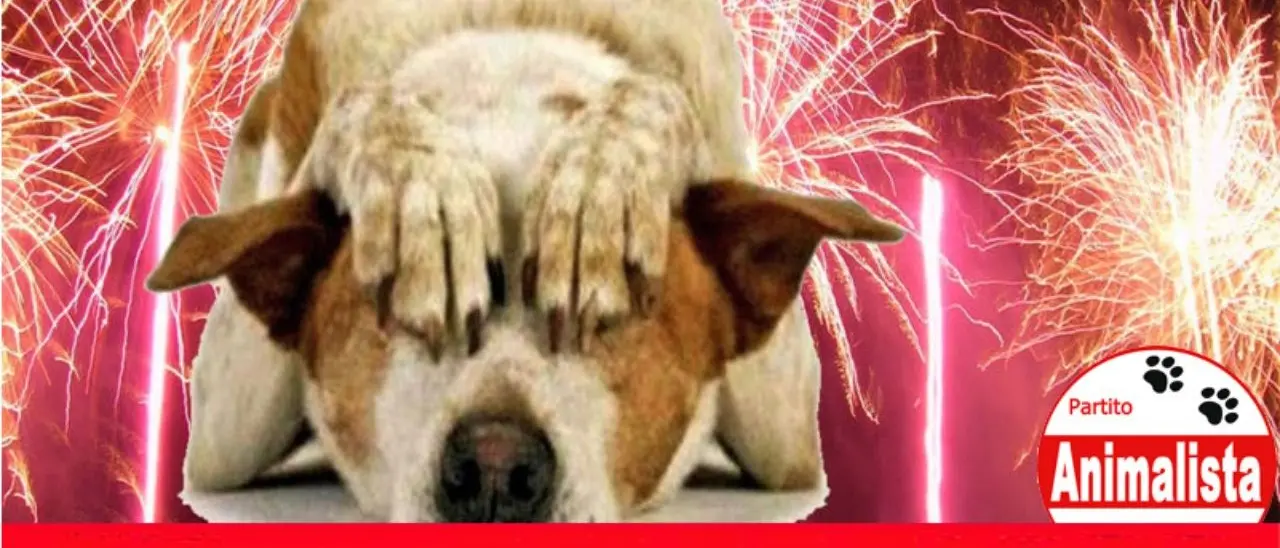 Basta botti, il Partito animalista: «La diossina sprigionata a Capodanno equivale a quella di un inceneritore in 120 anni»