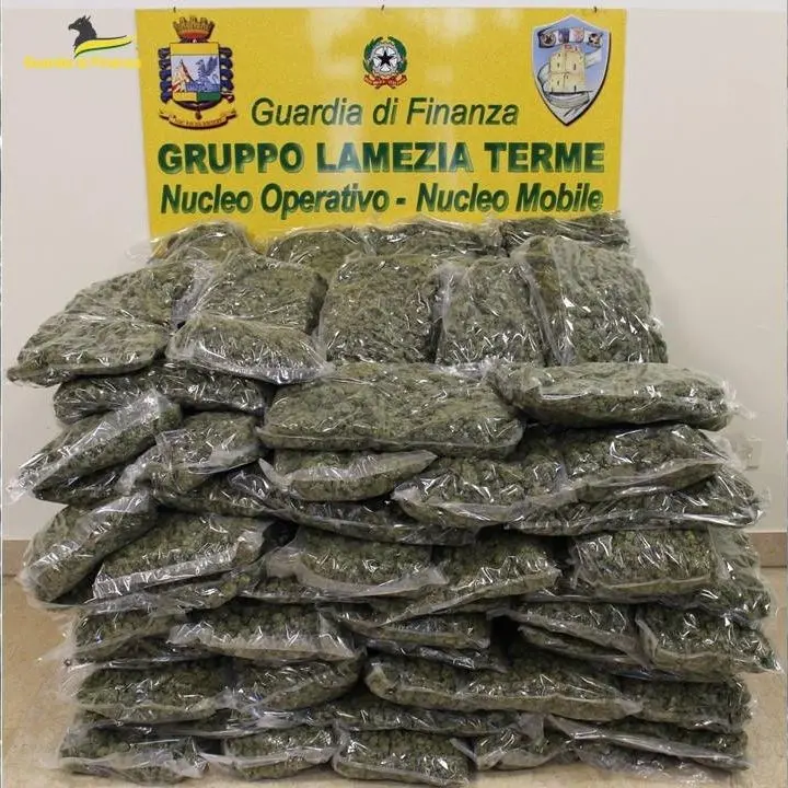 Maxi sequestro di droga nel Lametino, la finanza scopre 50 kg di marijuana e arresta un uomo nel Reggino