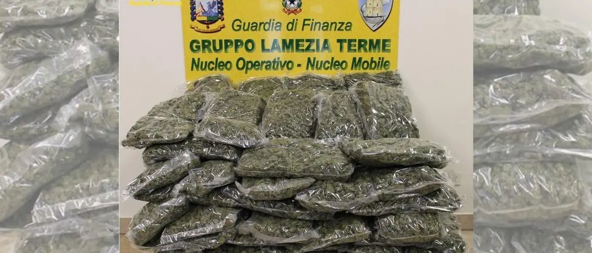 Maxi sequestro di droga nel Lametino, la finanza scopre 50 kg di marijuana e arresta un uomo nel Reggino