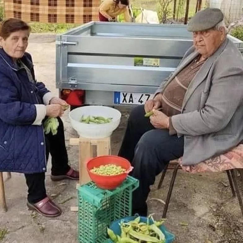 Contadini di Calabria, in uno scatto i sacrifici di chi ha lavorato quarant’anni la terra