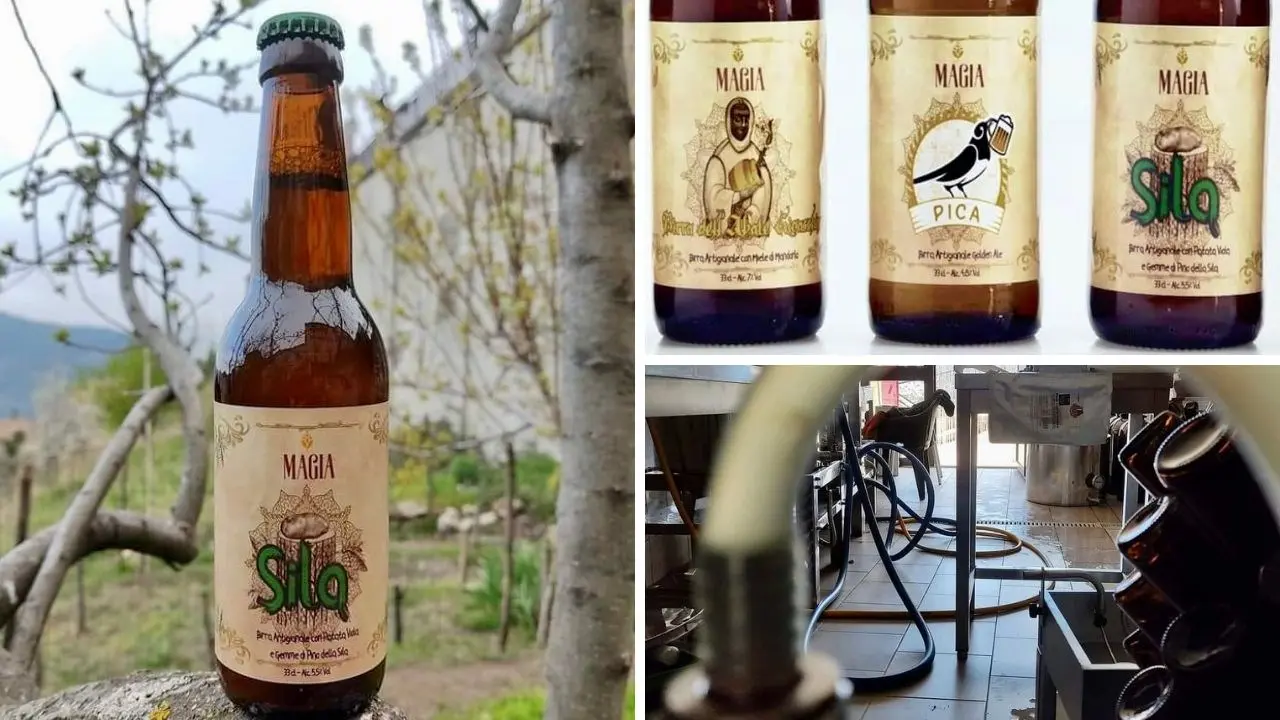 Birra Magia, l’artigianale dal cuore silano con luppoli e miele del territorio: in ogni sorso il sapore di Calabria