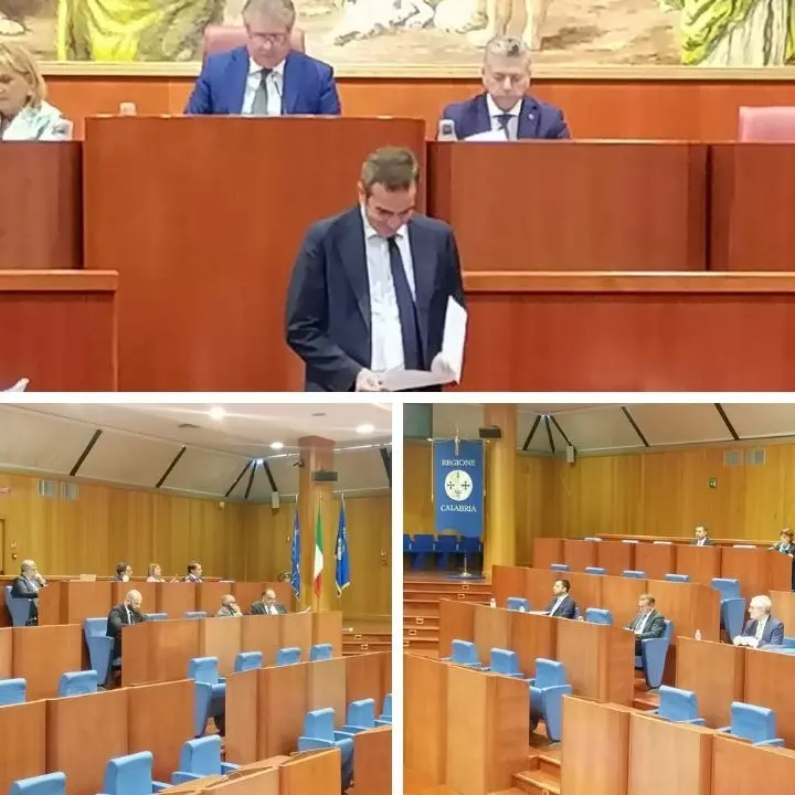 Un anno di Consiglio tra decisionismo, passi falsi e rivoluzioni (ancora) incompiute