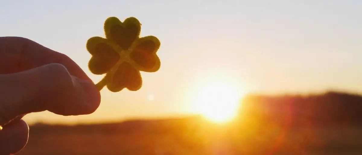 Sognare la Calabria che non t’aspetti: la sfida di LaC per il 2023 al fianco dei calabresi che vogliono il cambiamento