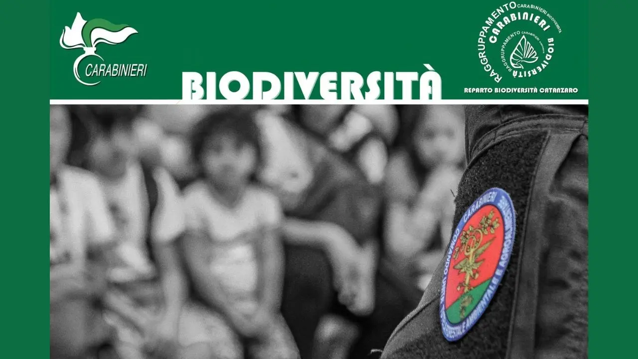 Befana della Biodiversità: l’educazione ambientale spiegata dai carabinieri ai piccoli degenti di Lamezia