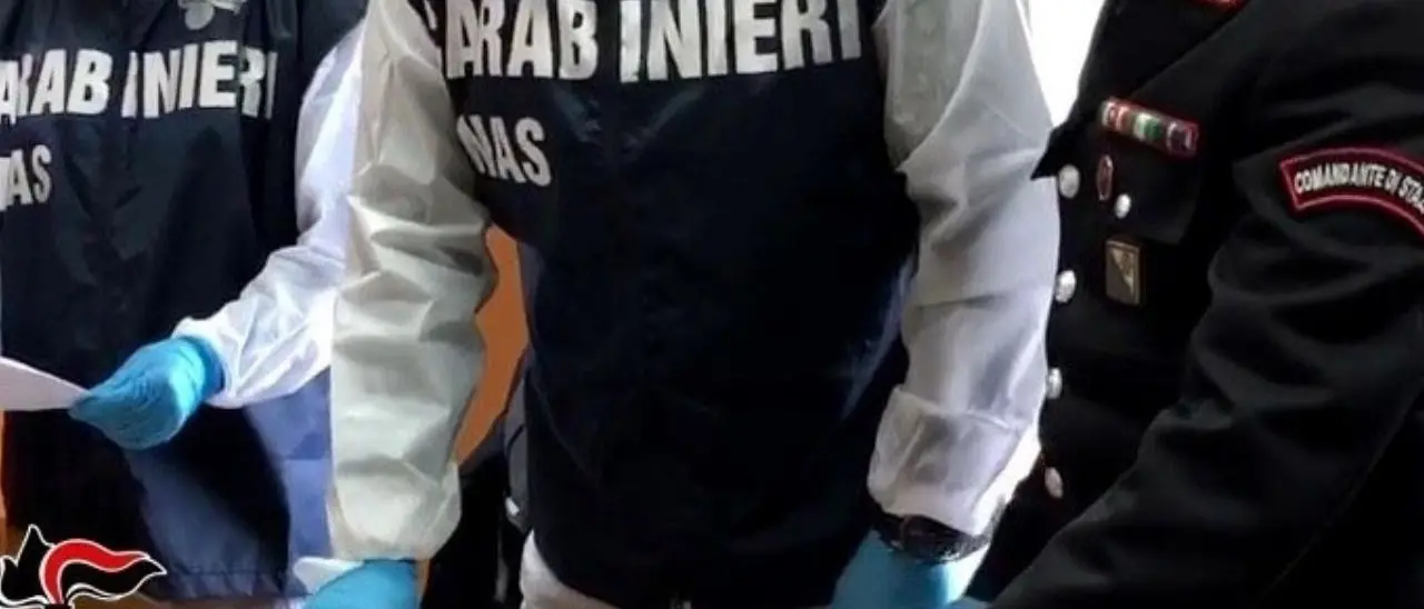 Si assenta dal lavoro per malattia e prepara dolci da vendere online: impiegato scolastico denunciato nel Reggino