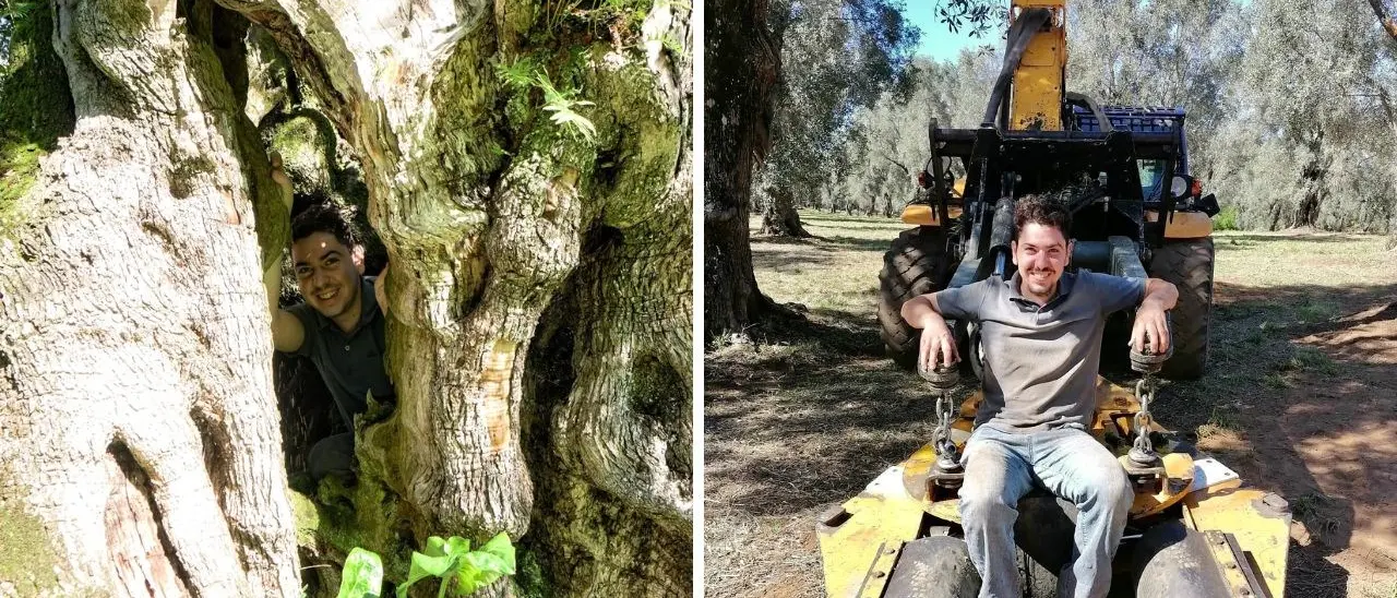 Il contadino ventenne di Palmi che coltiva ulivi ed emozioni: «Nella terra ci sono i miei sogni»