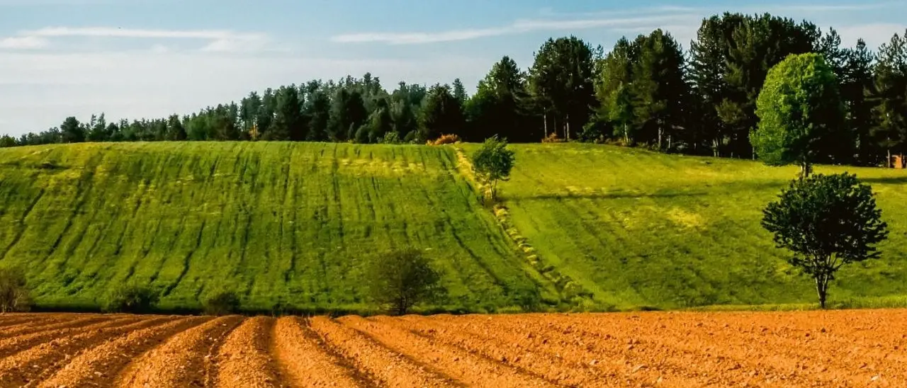 Sila. Il piacere della lentezza: in un libro raccolti i fantastici scatti di Francesco Ciardullo