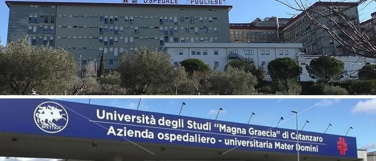 Azienda unica a Catanzaro, Iemma e Celia: «Il Dpcm si può produrre in 24 ore»