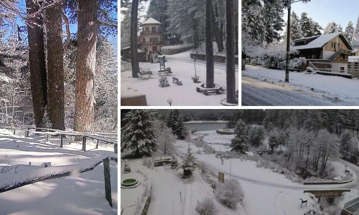 La Calabria nella morsa del maltempo: mareggiate lungo le coste, pioggia e neve dal Pollino all’Aspromonte