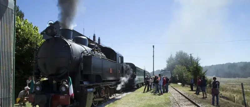 Treno a vapore della Sila, arriva la stangata: il biglietto costerà il doppio rispetto allo scorso anno