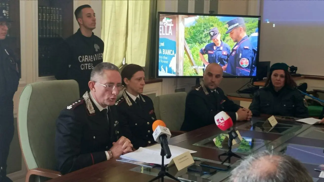 Ambiente, il report dei carabinieri forestale: crescono illeciti amministrativi e persone denunciate