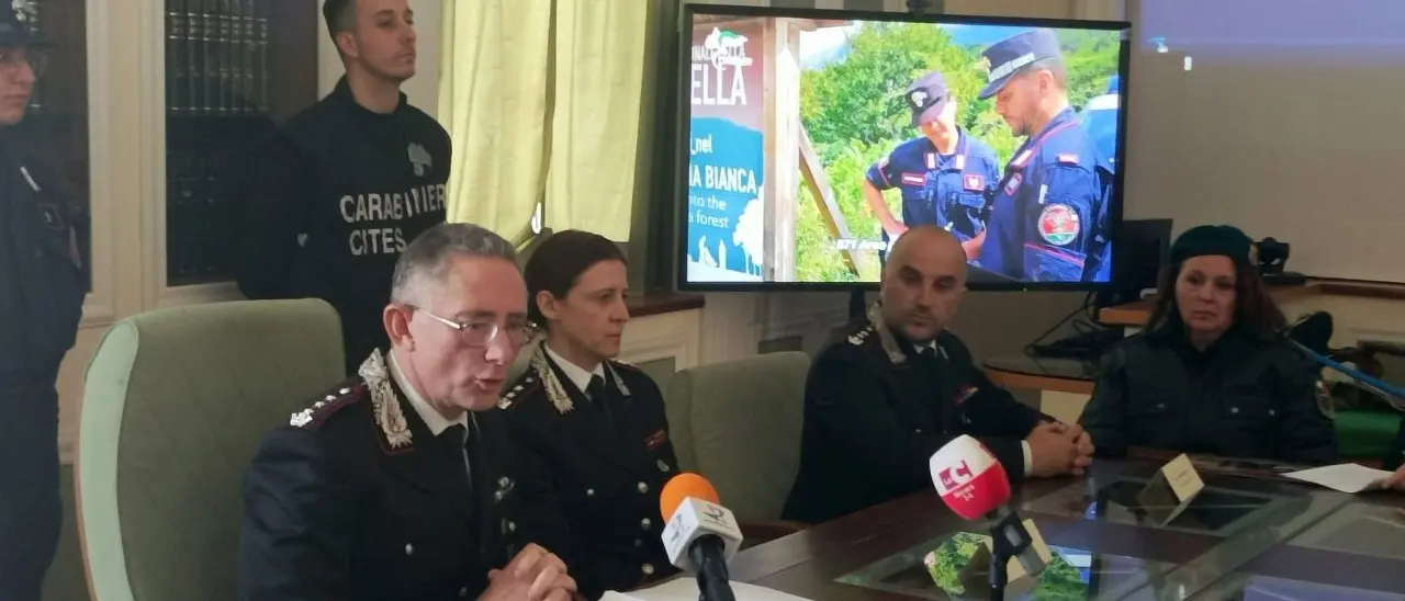 Ambiente, il report dei carabinieri forestale: crescono illeciti amministrativi e persone denunciate