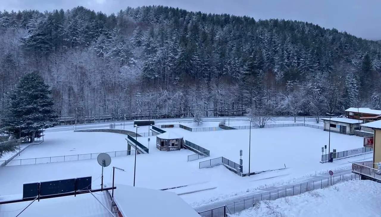 Neve in Calabria, i territori della Sila coperti di bianco: precipitazioni sopra gli 800 metri